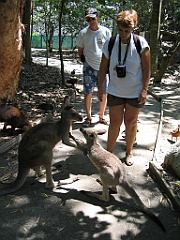 256 Wildlife Habitat Port Douglas